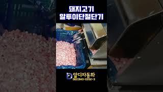 [알디자동화] 돼지고기알투이단절단기
