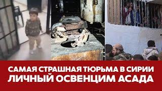 СРОЧНО САМАЯ СТРАШНАЯ ТЮРЬМА СИРИИ ДЕТИ ЗА РЕШЕТКОЙ И СРОКИ ПО 45 ЛЕТ новости сирия асад путин