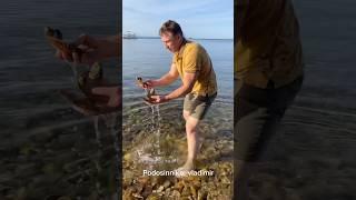 Стандартный Владивосток 