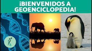 ¿Qué es BIOENCICLOPEDIA y qué puedes ENCONTRAR?  ¡Te damos la bienvenida! (Biología, Ciencia, Etc)