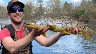 CLEAR RIVER fishing for GIANT TROUT (Brown Trout)