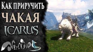 Icarus online(RU). Как приручить...#17. Чакай. Высокогорье Хаканас