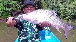 Bakun Dam Fresh Water Fishing