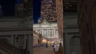 Peace in the chaos #newyork #nyc #shorts #shortsvideo #timesquare