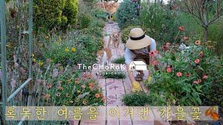 Finally, October  |  must- plant  | CHoRoKGarden