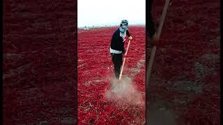 #shorts #agritools #farming2024 #agriculture  #JIKreactionagritools in farming 2024