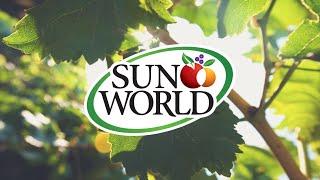 SUN WORLD CORPORATE VIDEO