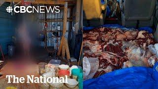 Growing halal meat demand feeding a potentially dangerous Alberta black market