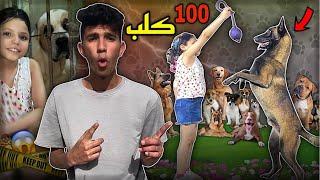 اصغر مربيه كلاب في مصر فتحت مزرعه | اكتر من 100 كلب 