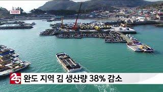 완도 지역 김 생산량 38% 감소