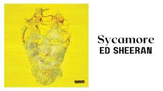 Ed Sheeran - Sycamore [1 Hour Loop] | Subtract Album