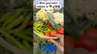 Today,s harvest ￼[orgenic sabjiya on terrace]#gardening #organic #terracegardeng #sabji #plants