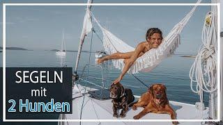 Segeln mit 2 Hunden | 1 Woche Adria auf einem Segelboot | Chocolate  Foxred Labrador KaroLovesMilka