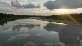 The Rolex and National Geographic Perpetual Planet Amazon Expedition: Along the Juruá River