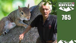 Fieldsports Britain – squirrel vandals