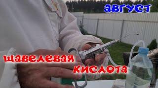 Обработка пчел щавелевой кислотой в августе. Это нужно сделать.