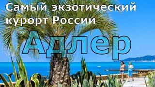 Адлер. Море, пляж, жильё, цены, кафе, столовые. Самый честный обзор. (Папа Может)