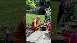 Vesak 2024 at Empty Cloud Monastery