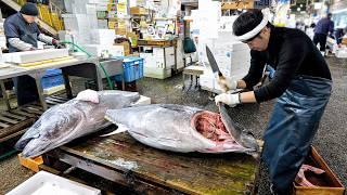 220kg Giant Tuna Disassembled! A Sushi Chef’s Insane New Year with Only 3 Hours of Sleep.