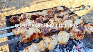 #алинаколомоец #шашлыкрецепт Очень вкусный шашлык рецепт. Отдых на турбазе "Днепровские свитанки"