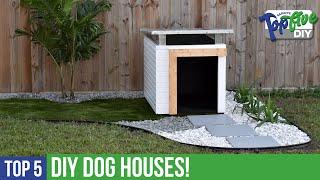 TOP 5 DIY Dog Houses! The Best Maker Videos for your Next Build!