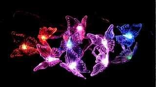 LED Butterfly String Lights, Color Changing-Demo