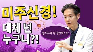 미주신경이란 도대체 뭘까?