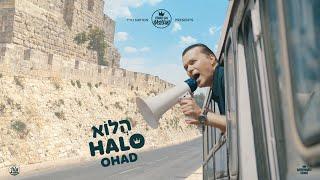 Halo - הֲלוֹא | Ohad Moskowitz  - אוהד מושקוביץ | TYH Nation