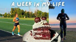 A week in my life: work, training, friends, doggies, and a fun surprise!