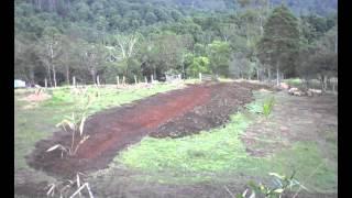 Glenn Armstrong Agricultural Excavation - Swale