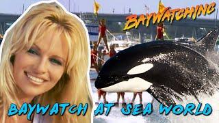 Baywatching: Baywatch at SeaWorld