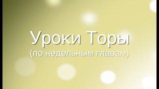 Тора для Бней Ноах - Урок по недельной главе Торы "Цав" для Бней Ноах от Дмитрия Калашника