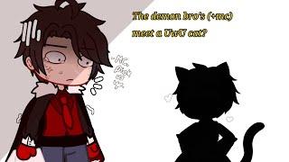 The demon brothers (+mc) meets an uwu cat?!? [Obey me! shall me date?/one master to rule them all!]