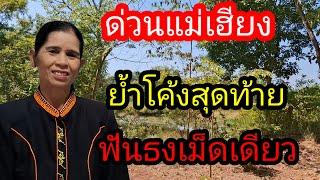 พ่อไสวพารวย.. channel กำลังถ่ายทอดสด! แม่เฮียงหลังปล่อยเลขชุดนี้ฝันดีตลอด