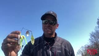 Todd Castledine On Fishing a Strike King Spinnerbait