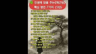 #채근담 #동양 명언 #인생명언 #지혜로운 삶 #고전에서배우다 #채근담명언 #마음공부