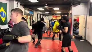 Brooklyn All Level Sparring