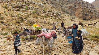 The End of Life in the Mountains | See the Amazing Migration of the Nomads! | Difficult roads nomads