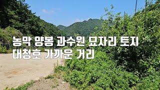 급 매물430번. 대청호 가까운 거리 산으로 둘러싸인 농막 양봉 과수원 묘자리 토지로 좋은 전