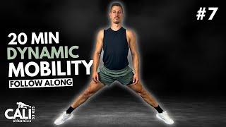 20 Min DYNAMIC MOBILITY ROUTINE | Day 7