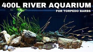 WE MADE A RIVER AQUARIUM FOR TORPEDO BARBS! Aquascape Tutorial