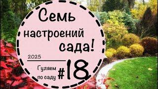 ️ Прогулка по саду #18️ Лучшие видео  садового сезона 2024️