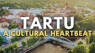 Exploring Tartu: Estonia's Cultural Heartbeat