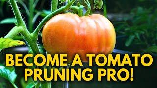 How to Prune Indeterminate Tomatoes & Identify Suckers