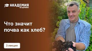 Дачный Агроном: как я сохраняю плодородие почвы на своем участке