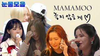 [마마무] 눈물모음 영상 슬픔 오열이슈ㅠ Don't Cry.. MAMAMOO