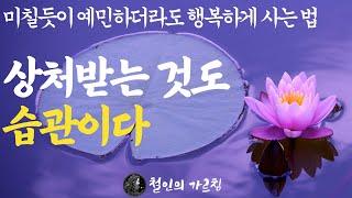 상처받는 것도 습관이다 | 미칠듯이 예민하더라도 행복하게 사는 법|"인생이 술술 풀릴 겁니다"|저항하지 말고 담담히 받아들여야 한다|불교철학 오디오북 부처님 말씀 석가모니 ASMR