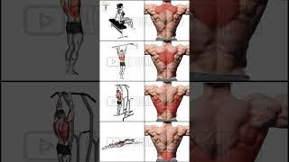 No gear, no problem! Build your back anywhere 