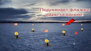 НЕ УСПЕВАЕМ НАЛОВИТЬ ЖИВЦА, А ОНИ ВСЁ СТРЕЛЯЮТ И СТРЕЛЯЮТ!!!/Зимняя рыбалка 2023/Рыбалка на пруду
