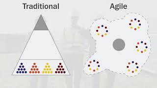 The Differences Between Traditional and Agile Organizations